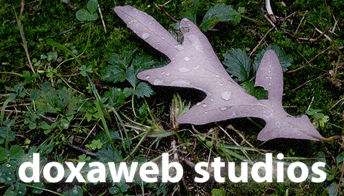 doxaweb studios
