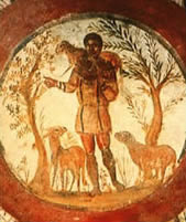 shepherd